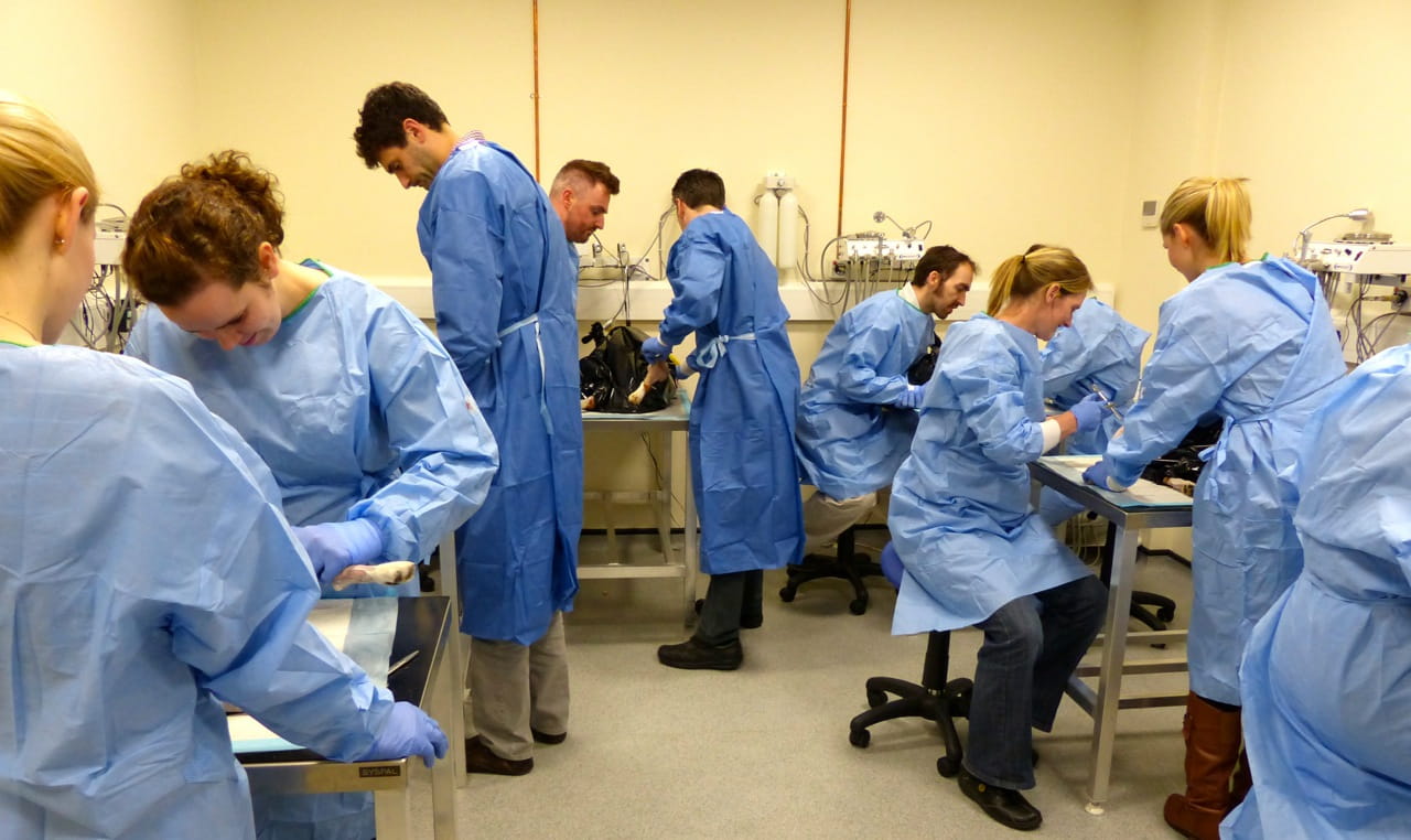 CE Wet Lab Hands-on Course