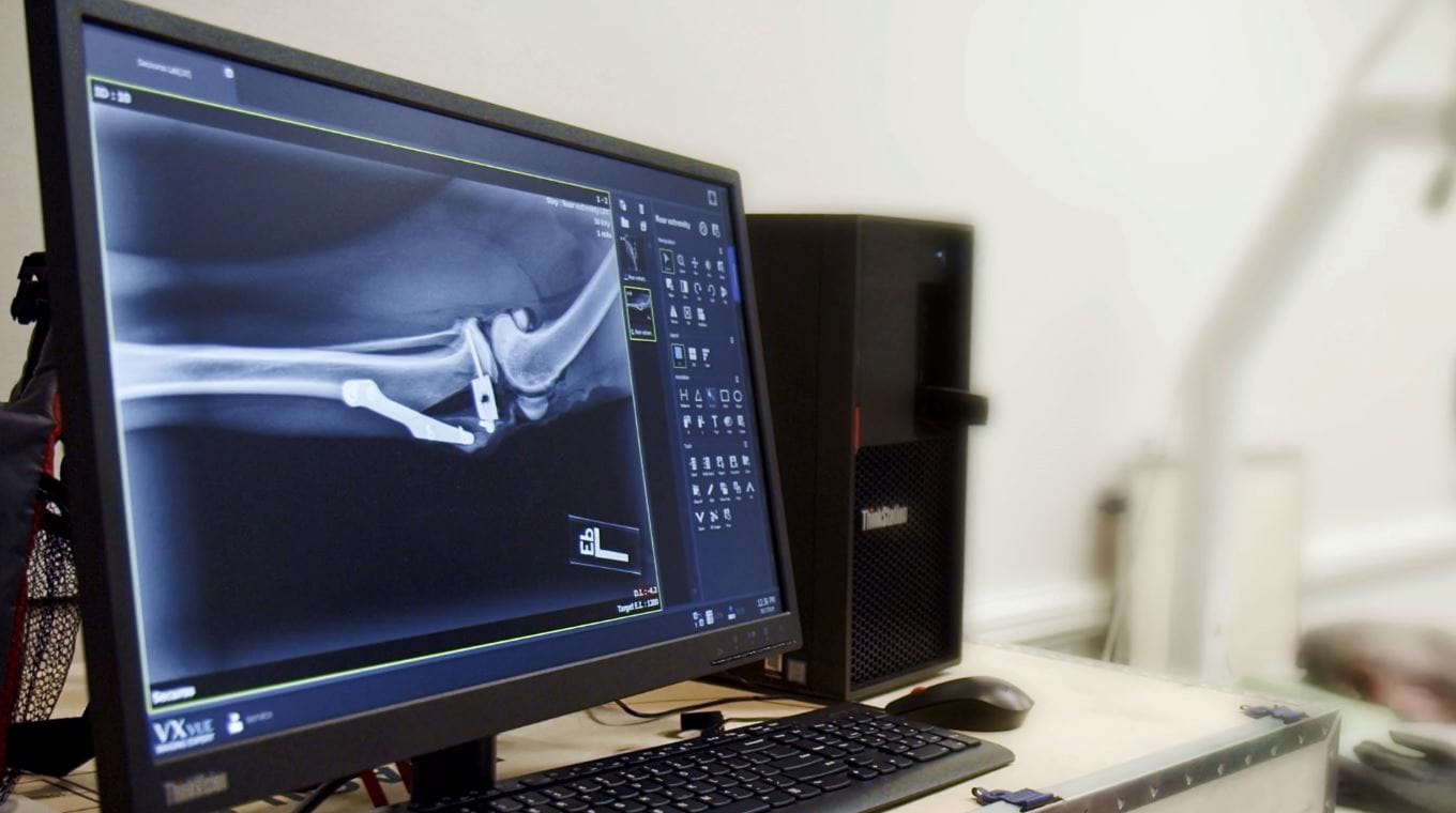 Hands-On Wet Lab Lateral Suture TPLO TTA RACE CE Continuing Education