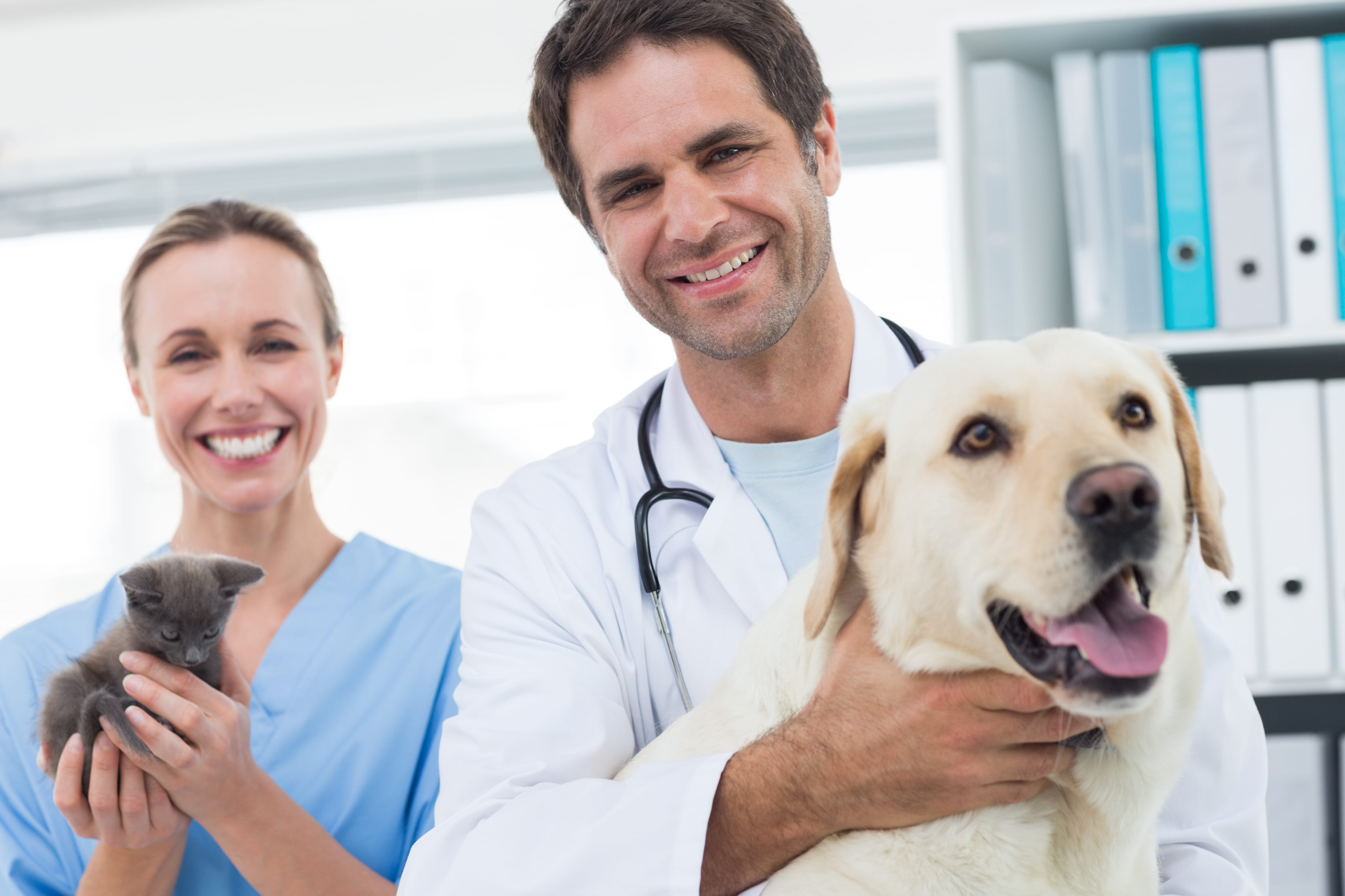 Veterinarian holding a dog and technician holding a kitten