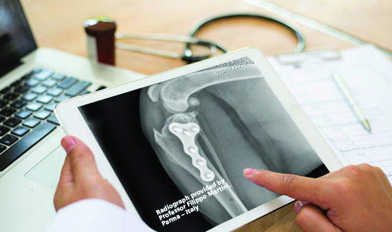 Procedure-pic4