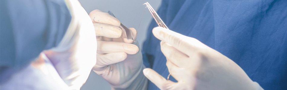 veterinarians in surgery holding surgical instruments