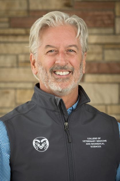 Dr. Palmer Headshot